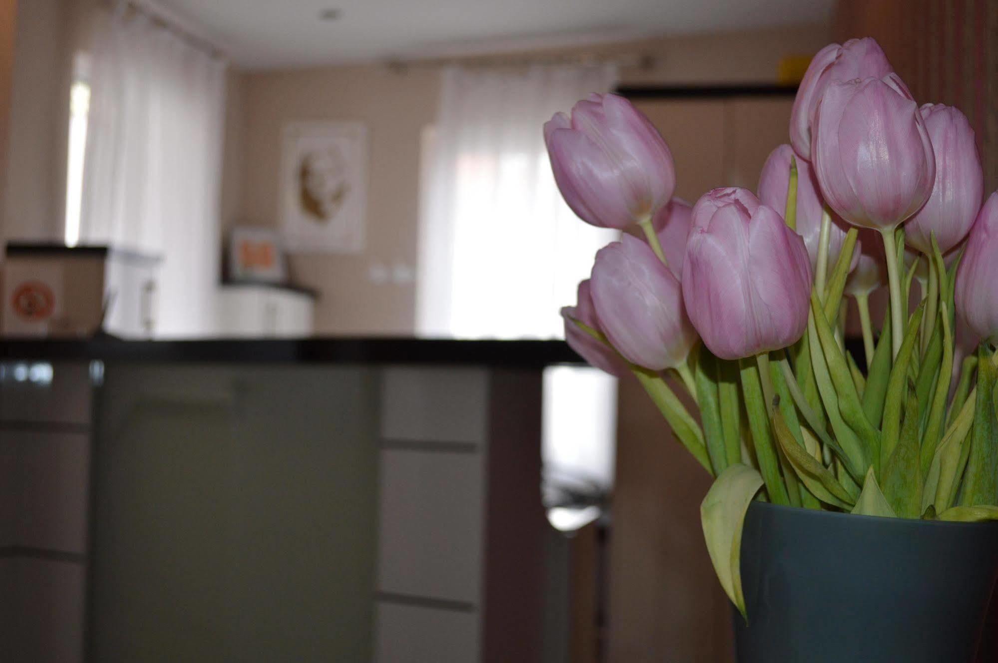 Erde Hotel Erlangen Zewnętrze zdjęcie